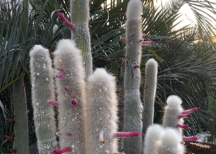 Happy Casa Lejlighed *